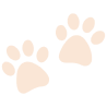 paw design